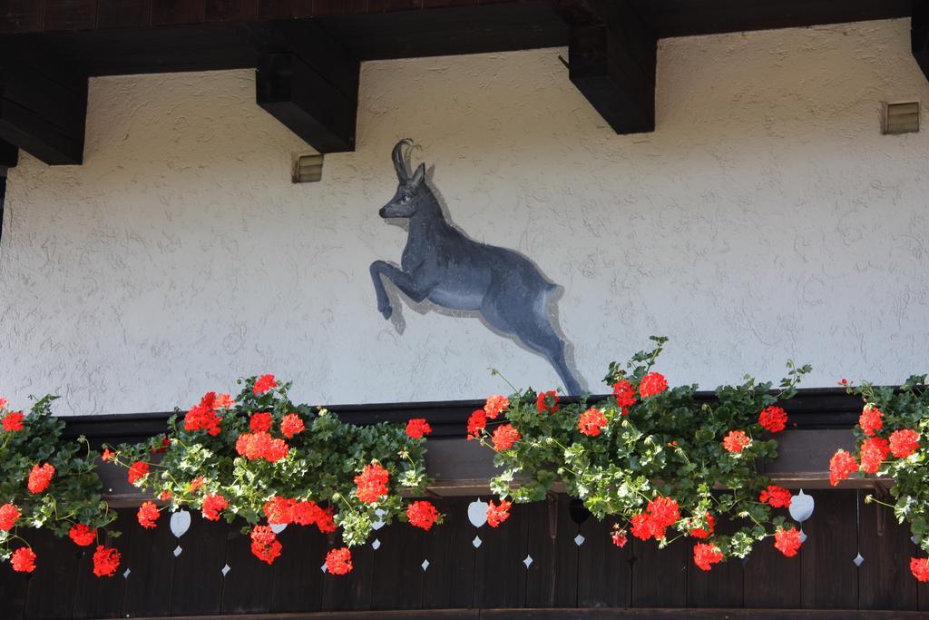 Pension Blauer Gamsbock Kiefersfelden Exteriér fotografie